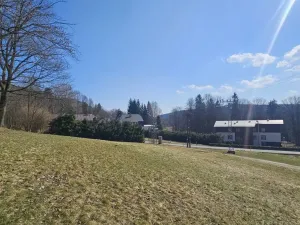 Prodej rodinného domu, Janov nad Nisou, 1047 m2