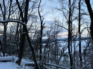 Prodej lesa, Dolní Bousov, 59634 m2