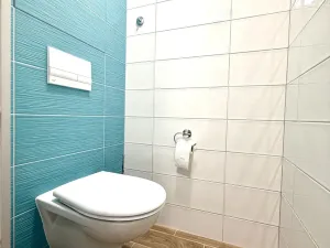 Prodej bytu 1+1, Bor, Přimdská, 35 m2