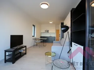 Pronájem bytu 1+kk, Praha - Karlín, U Mlýnského kanálu, 42 m2