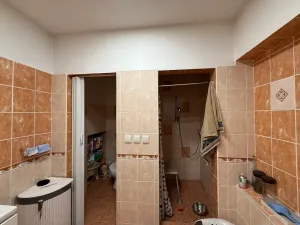 Prodej rodinného domu, Prace, K Mohyle míru, 185 m2