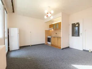 Pronájem bytu 1+kk, Plzeň - Severní Předměstí, Sokolovská, 27 m2