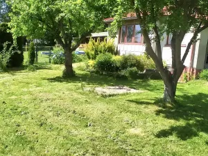 Prodej chaty, Seč, 48 m2