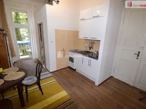 Pronájem bytu 1+1, Praha - Vinohrady, Jana Masaryka, 43 m2