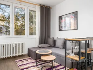 Pronájem bytu 1+kk, Ústí nad Labem, Větrná, 20 m2