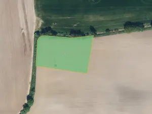 Prodej pole, Rybitví, 2551 m2