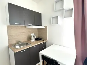 Pronájem bytu 1+kk, Kladno, Hřebečská, 16 m2