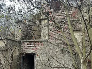 Prodej zahrady, Brno, Vinohrady, 990 m2