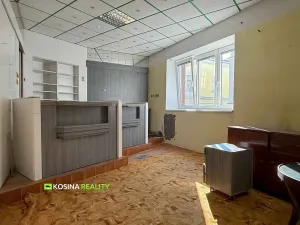 Prodej rodinného domu, Kynšperk nad Ohří, Maxima Gorkého, 300 m2