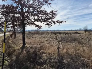 Prodej pozemku pro bydlení, Čejkovice, 1055 m2