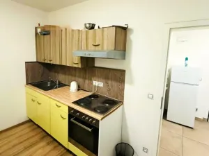 Prodej bytu 2+1, Plzeň - Skvrňany, Kreuzmannova, 48 m2