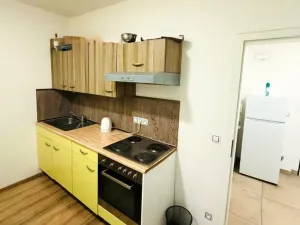 Prodej bytu 2+1, Plzeň - Skvrňany, Kreuzmannova, 48 m2