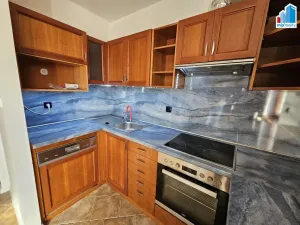 Pronájem bytu 4+kk, Plzeň - Jižní Předměstí, Mánesova, 145 m2