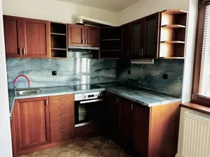 Pronájem bytu 4+kk, Plzeň - Jižní Předměstí, Mánesova, 145 m2