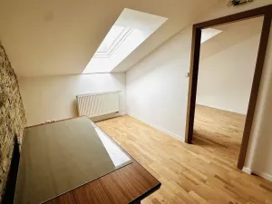 Pronájem bytu 4+kk, Plzeň - Jižní Předměstí, Mánesova, 145 m2