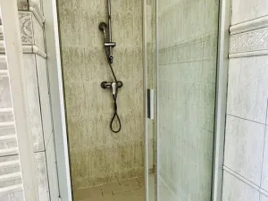 Pronájem bytu 4+kk, Plzeň - Jižní Předměstí, Mánesova, 145 m2