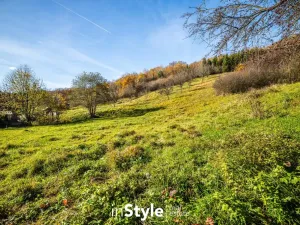 Prodej pozemku pro bydlení, Lopeník, 4748 m2