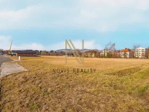 Prodej pozemku pro bydlení, Janovice nad Úhlavou, 800 m2