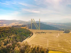 Prodej pozemku pro bydlení, Janovice nad Úhlavou, 800 m2