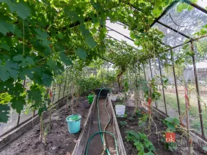 Prodej chaty, Nýřany - Kamenný Újezd, 20 m2