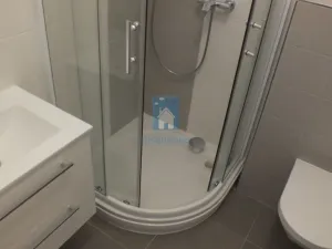 Pronájem bytu 1+kk, Plzeň, Rubešova, 35 m2