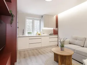 Pronájem bytu 2+kk, Ostrava, Čujkovova, 29 m2