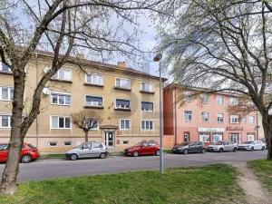 Prodej bytu 2+1, Hodonín, Horní Valy, 55 m2