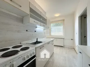 Pronájem bytu 1+1, Jílové, Družstevní, 30 m2