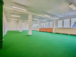 Pronájem obchodního prostoru, Polepy, 1200 m2