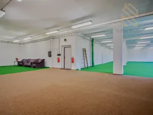 Pronájem obchodního prostoru, Polepy, 1200 m2