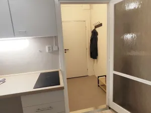 Pronájem bytu 1+kk, České Budějovice - České Budějovice 3, Pekárenská, 21 m2