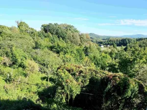 Prodej rodinného domu, Jeseník, 350 m2