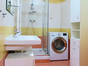 Pronájem bytu 2+kk, Brno, Netušilova, 42 m2