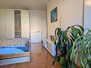 Prodej bytu 2+kk, Brno, Sedláčkova, 53 m2