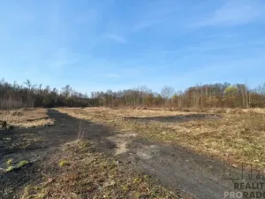 Prodej komerčního pozemku, Ostrava - Kunčičky, 16951 m2