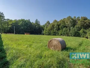 Prodej pozemku pro bydlení, Těrlicko, 1000 m2