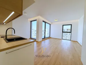 Pronájem bytu 1+kk, Olomouc, Ostrovní, 43 m2