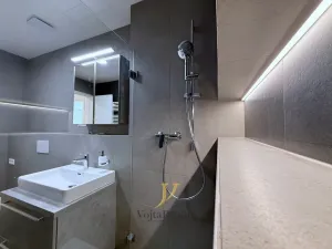 Pronájem bytu 1+kk, Olomouc, Ostrovní, 43 m2