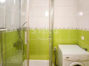 Prodej bytu 1+1, Karviná, Borovského, 36 m2