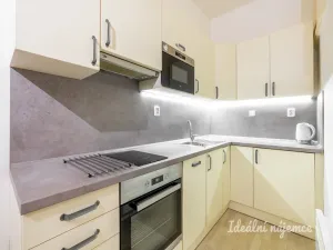 Pronájem bytu 1+1, Praha - Vršovice, Sevastopolská, 43 m2