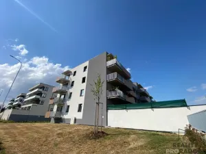 Pronájem garážového stání, Olomouc, Loudova, 12 m2