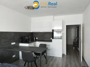 Pronájem bytu 1+kk, Olomouc, Frištenského, 33 m2