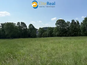 Prodej pozemku pro bydlení, Razová, 7007 m2