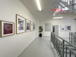 Pronájem kanceláře, Jaroměř, Jezbinská, 142 m2
