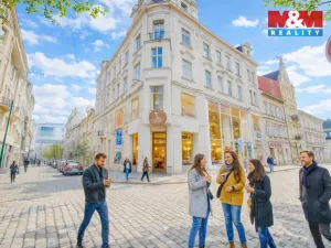 Pronájem restaurace, Plzeň - Vnitřní Město, Zbrojnická, 598 m2