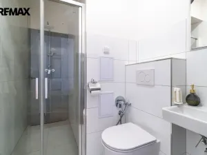 Pronájem bytu 4+1, Praha - Nové Město, Žitná, 120 m2