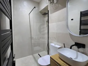 Pronájem bytu 2+kk, Teplice, Duchcovská, 52 m2