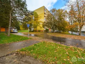 Pronájem bytu 1+1, Sokolov, Švabinského, 45 m2