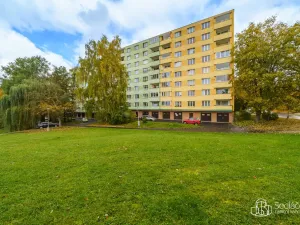 Pronájem bytu 1+1, Sokolov, Švabinského, 45 m2