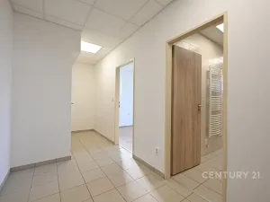 Pronájem bytu 2+kk, Plzeň, Tisová, 70 m2
